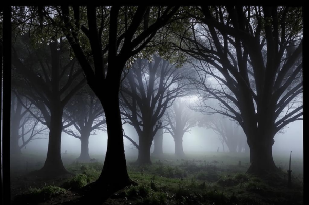 «Прощайте, не помните лихом...»