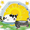 «Счастье бывает и у кошки ...»