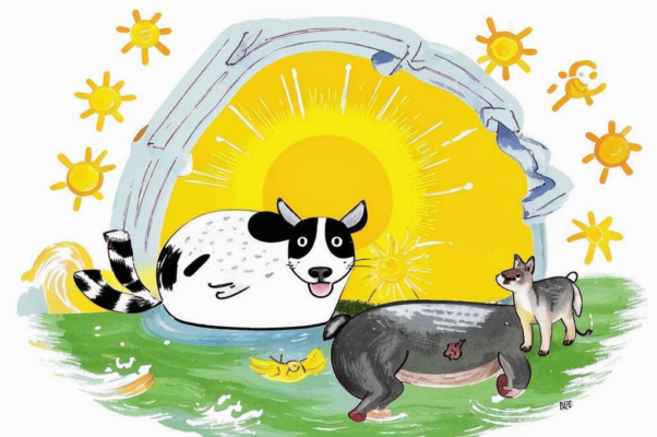 «Счастье бывает и у кошки ...»