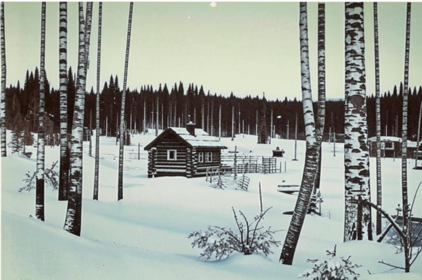 «Талы избы, дорога...»