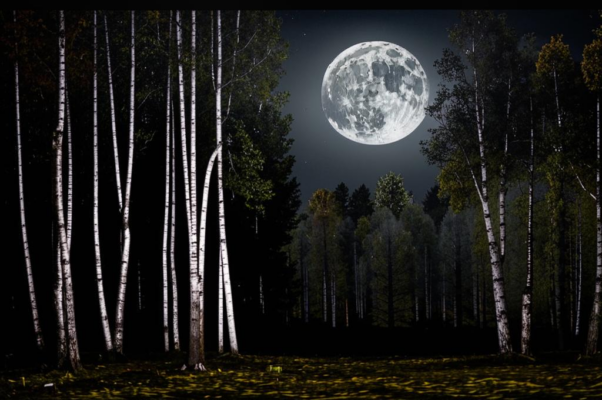 «Уже хоронится от слежки...»