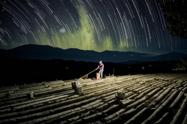 «Я борозду за бороздою...»