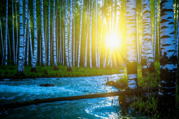 Смертный сон