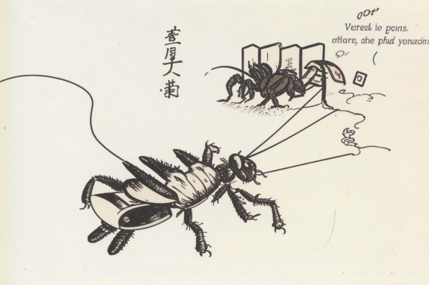 Национальный гимн готтентотов