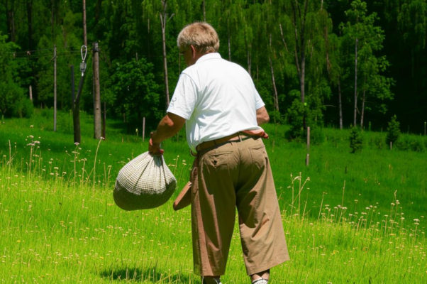 Нищий («Летней жаркою поро…»)