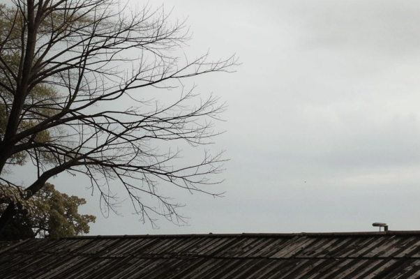 Осень («Осень…»)