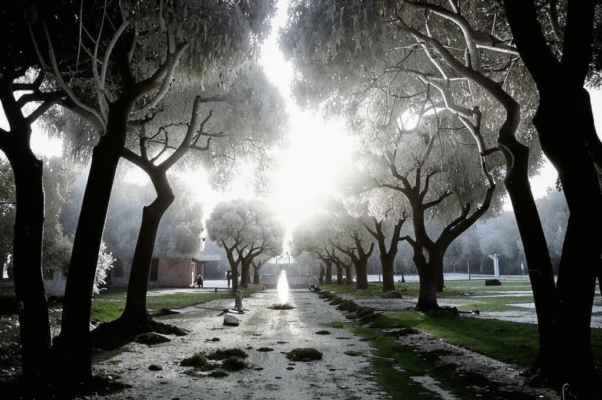 «В апельсинных рощах Ионнеи...»