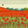 «Серебрится зеленый овес...»