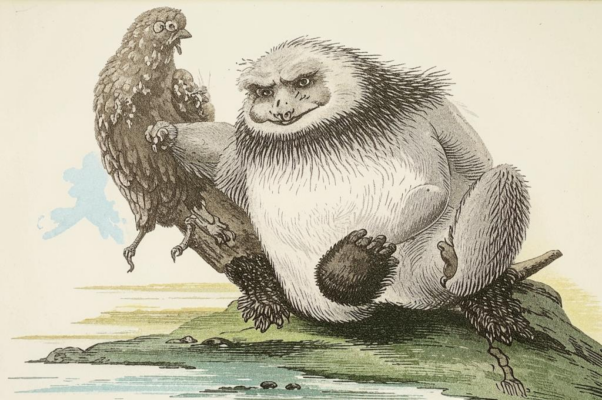 Кикимора — Вагону