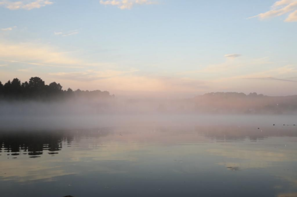 Русалки («Предутренний туман над сонною волной…»)
