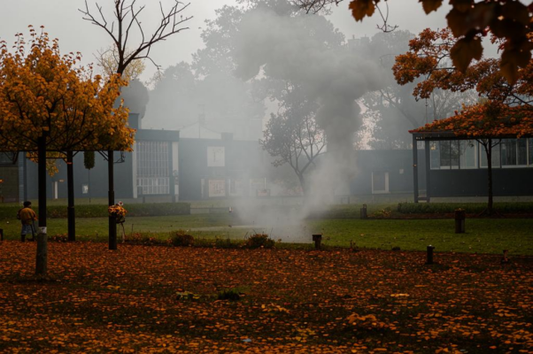 «Весь день вдыхаю с дымом папирос...»