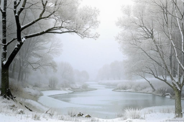 «Во мгле сплошного снегопада...»
