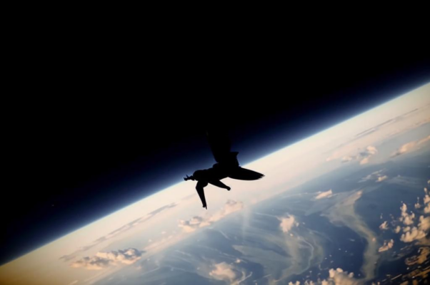 «Вот ласточка с оторванным крылом, —...»