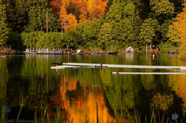 «Всё реже всплески водяные...»