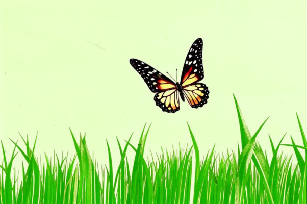 «Какая жалкая забава...»