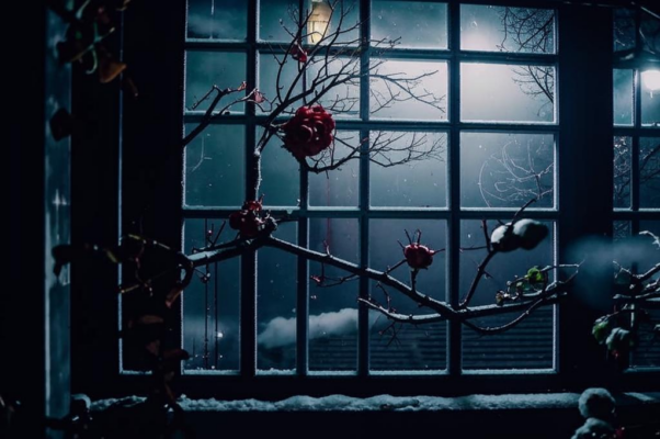 «Ночь ломится в мое окно...»