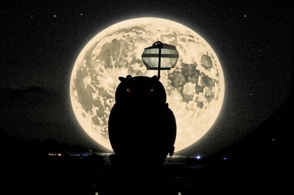 Лунное моление