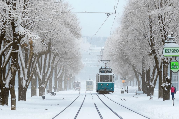 «Под утро подморозило немного...»
