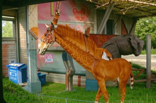 Зоосад («Зоосада…»)