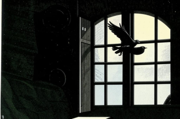 «Если птица залетит в окно...»