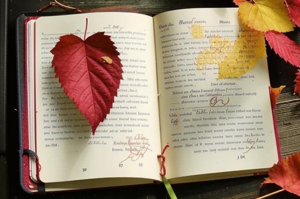 «Виноградный лист в моей тетради...»