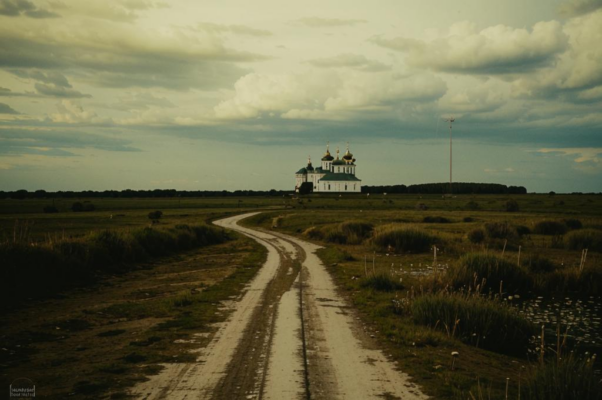 «Полынь, трава степной дороги...»
