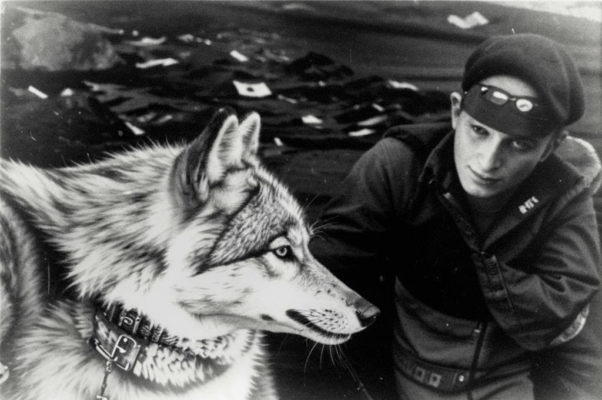 «Я твоё не трону логово...»