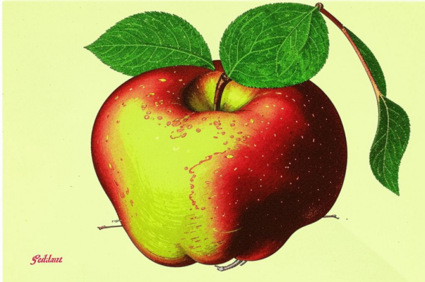 «Яблоко, протянутое Еве...»