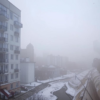 «первый иней на клумбах...»