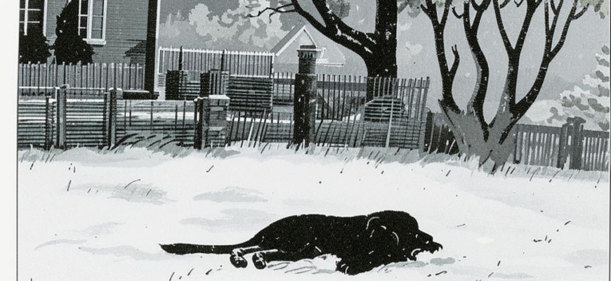 «Первый снег и бел, и нежен...»