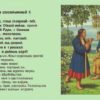 «Принес сосед груши...»