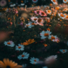 Жуткое