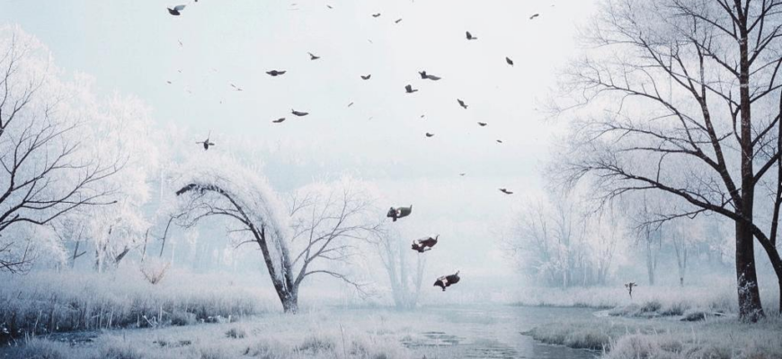 Цветы («И падают, и падают цветы…»)