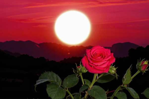 Вечер («Не спеши так, солнце красно…»)