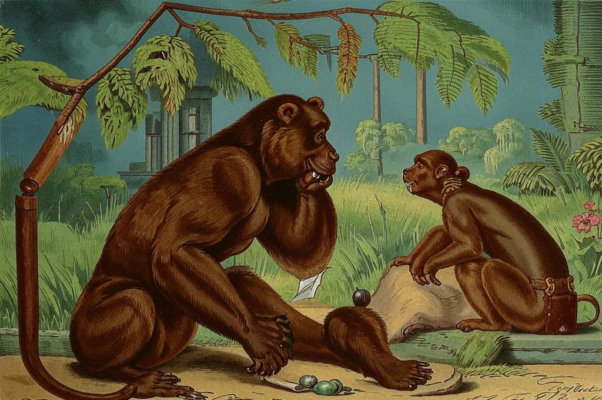 Зеркало и обезьяна