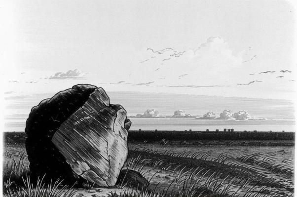 Камень и червяк