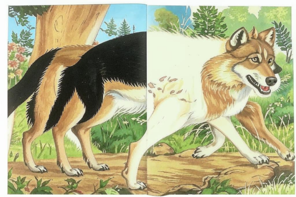 Лань и дервиш