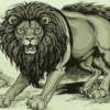 Лев состаревшийся