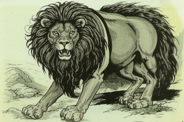 Лев состаревшийся
