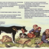 Собака, человек, кошка и сокол