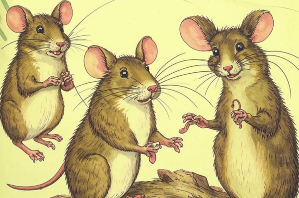 Совет мышей («Когда-то вздумалось Мышам себя прославит…»)