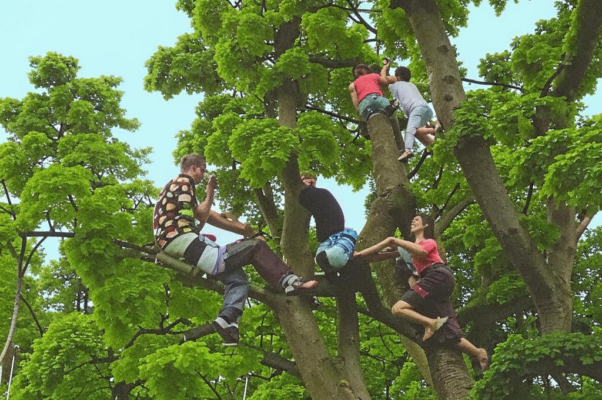 Два мальчика (« «Сенюша, знаешь ли, покамест, как баранов…»)