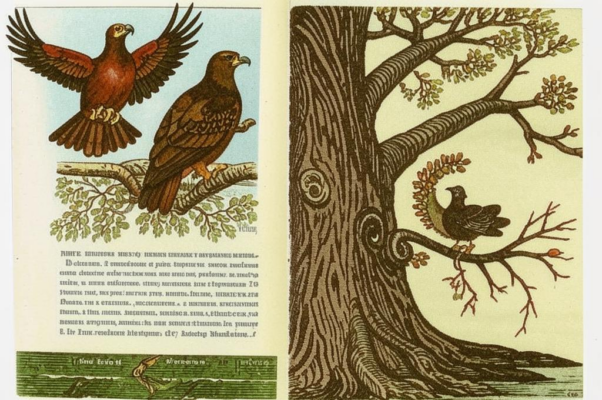 Кукушка и орел