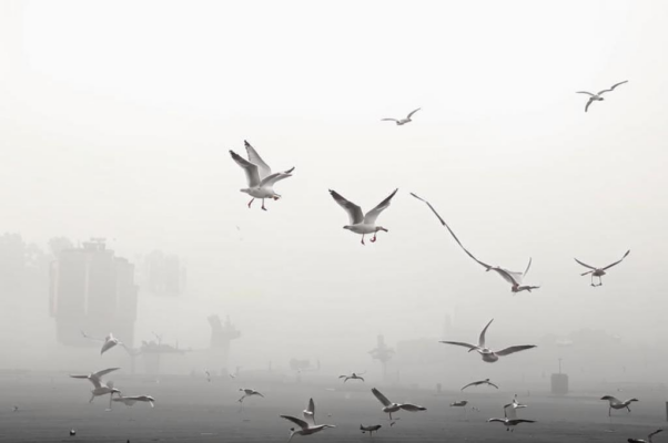 «Все подернуто туманной поволокой...»