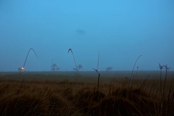 «Драпировки темной тверди...»