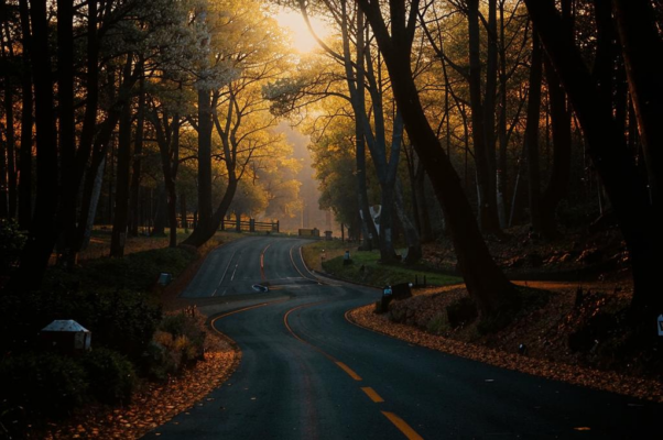 «Наш смех послышался гобою и фаготу...»