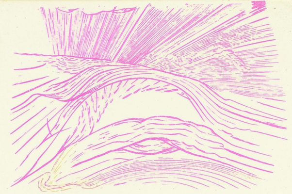 «Осока по пояс. Болотная хлябь...»