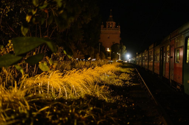 «От подсвеченной ртутной седой листвы...»