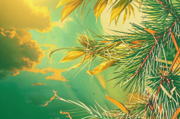 «От хвойных игл с золотой пыльцой...»