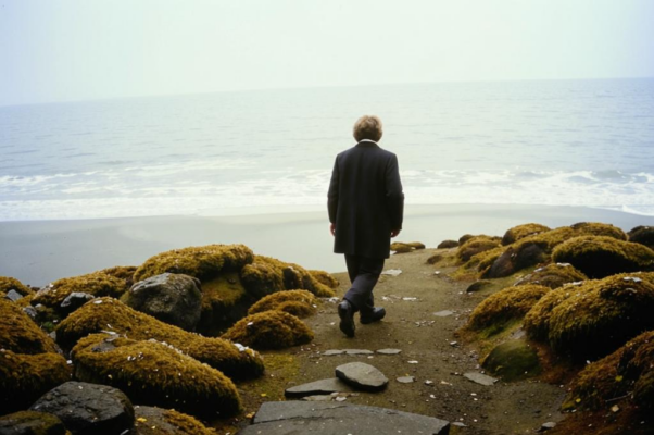 «По настилу из мягкого мха...»